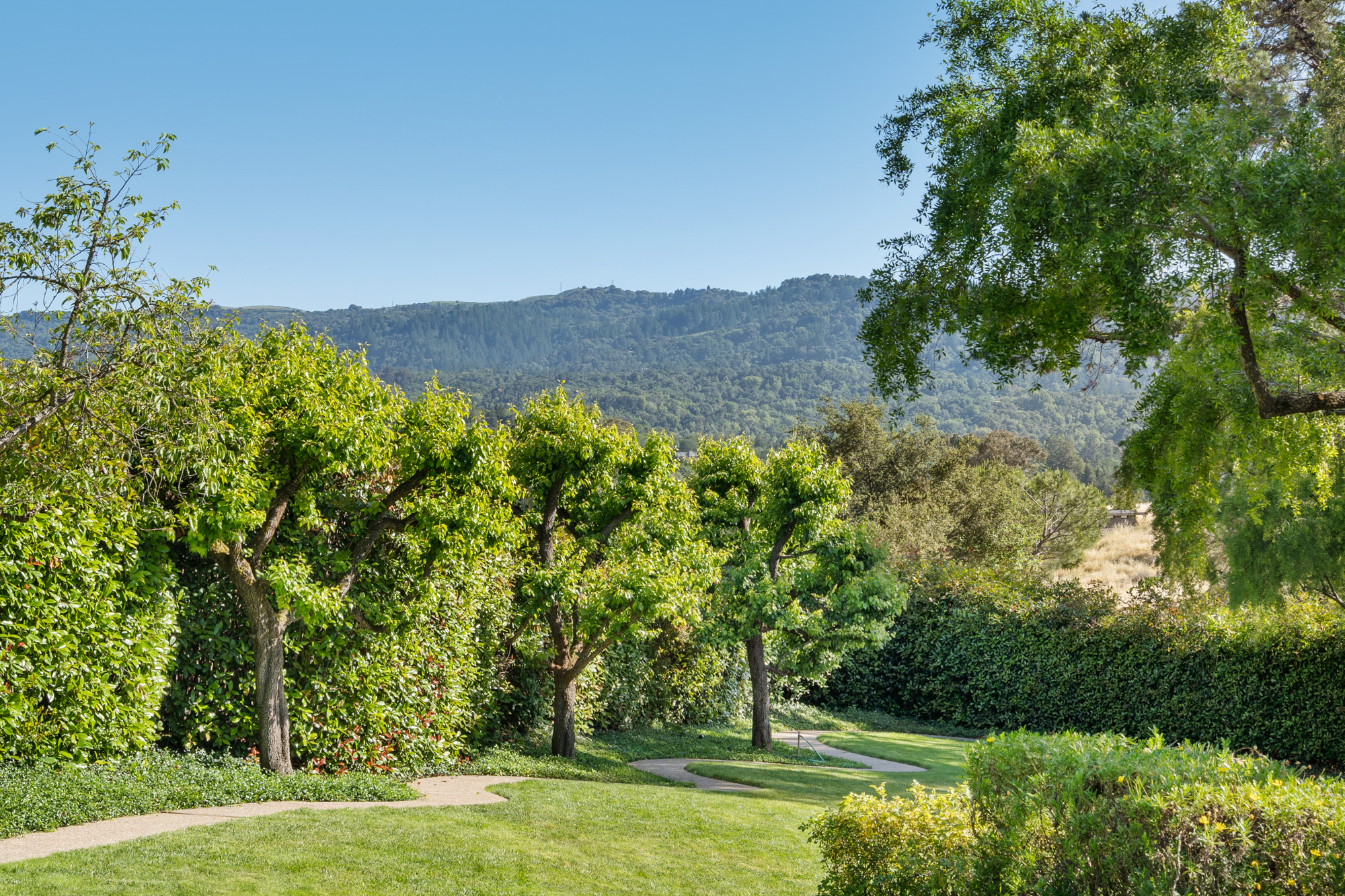 15 Antonio Court, Portola Valley 15 Antonio Court, Portola Valley